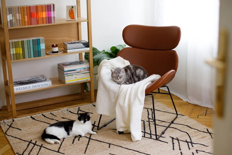 Inspirace: Obývací pokoj, Skandinávský styl