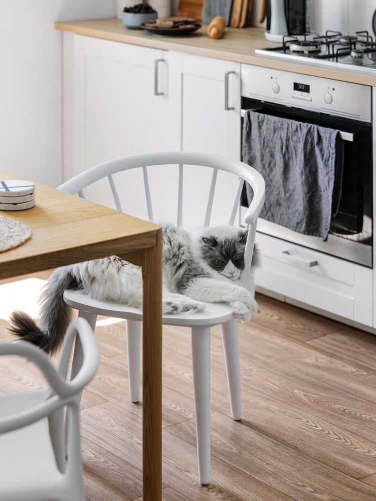 Inspirace: Kuchyň a jídelna