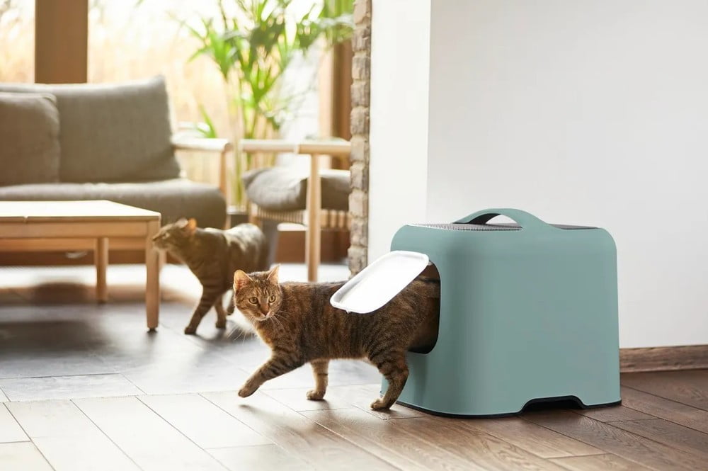 Inspirace: Domácí mazlíčci