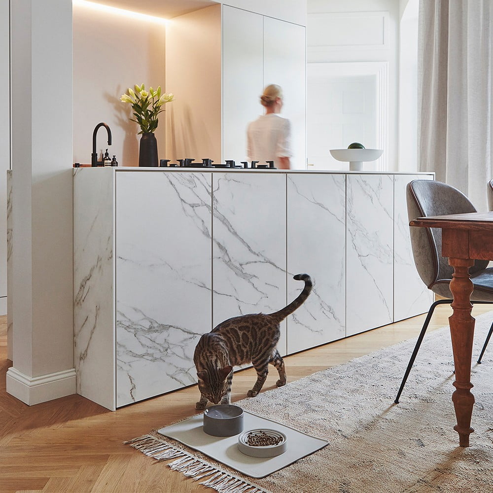 Inspirace: Domácí mazlíčci