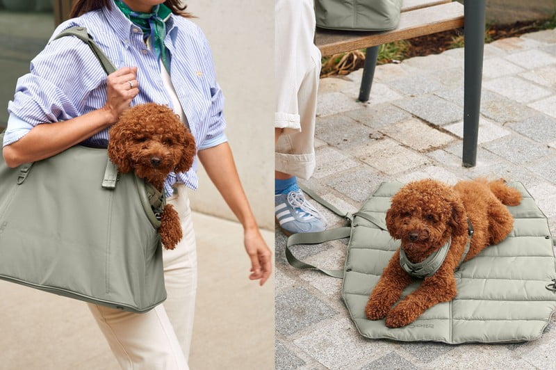 Inspirace: Domácí mazlíčci