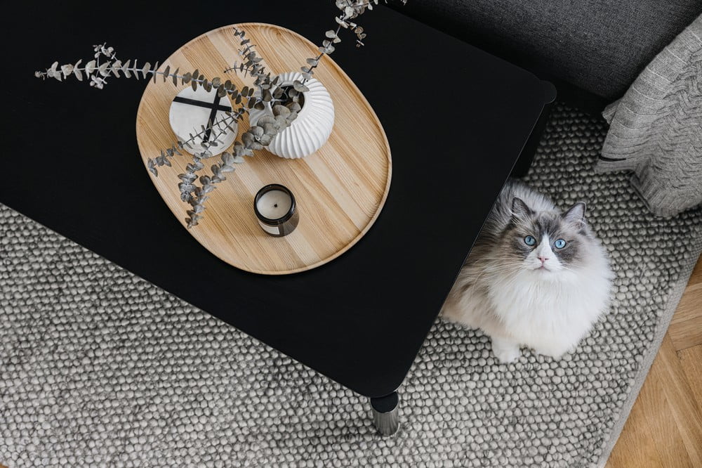 Inspirace: Obývací pokoj, Skandinávský styl