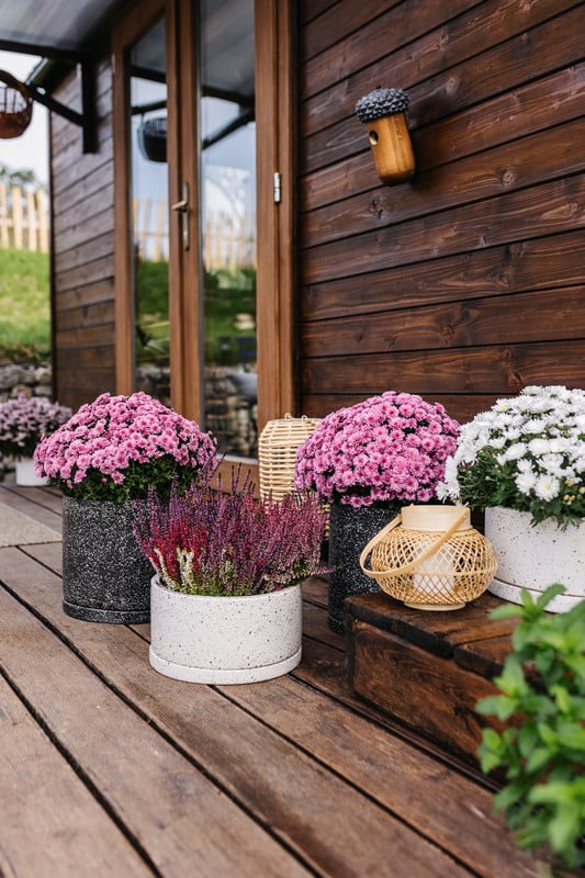 Inspirace: Zahrada, Rustikální styl, Balkon a terasa