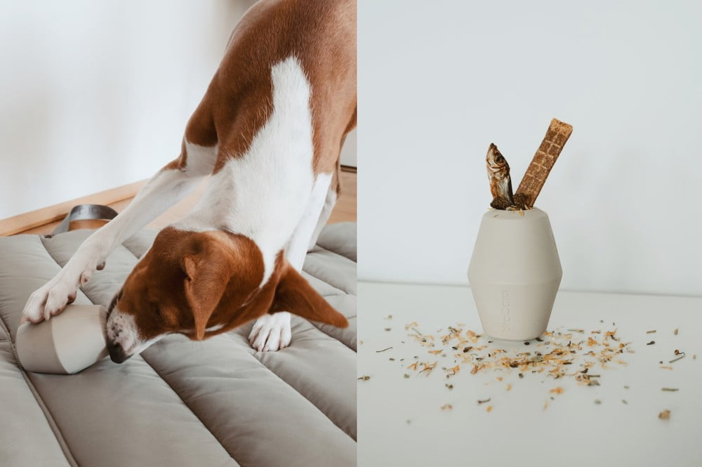 Inspirace: Domácí mazlíčci