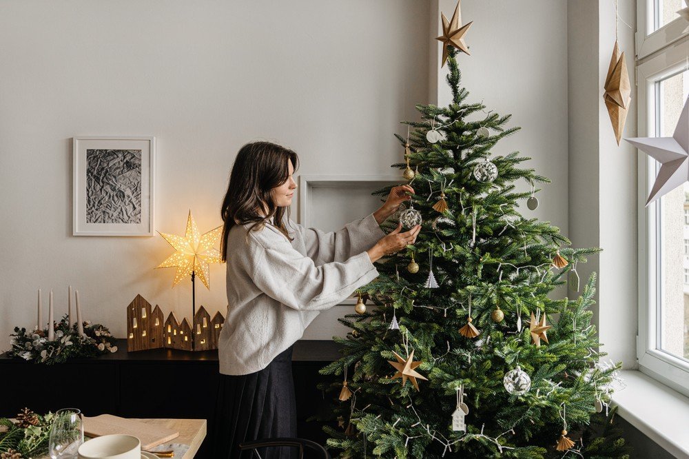 Inspirace: Vánoce, Jídelna, Dekorace 