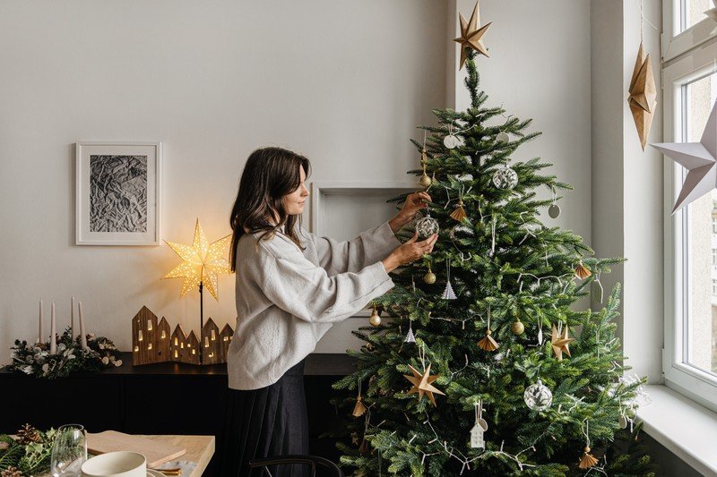 Inspirace: Vánoce, Jídelna, Dekorace 