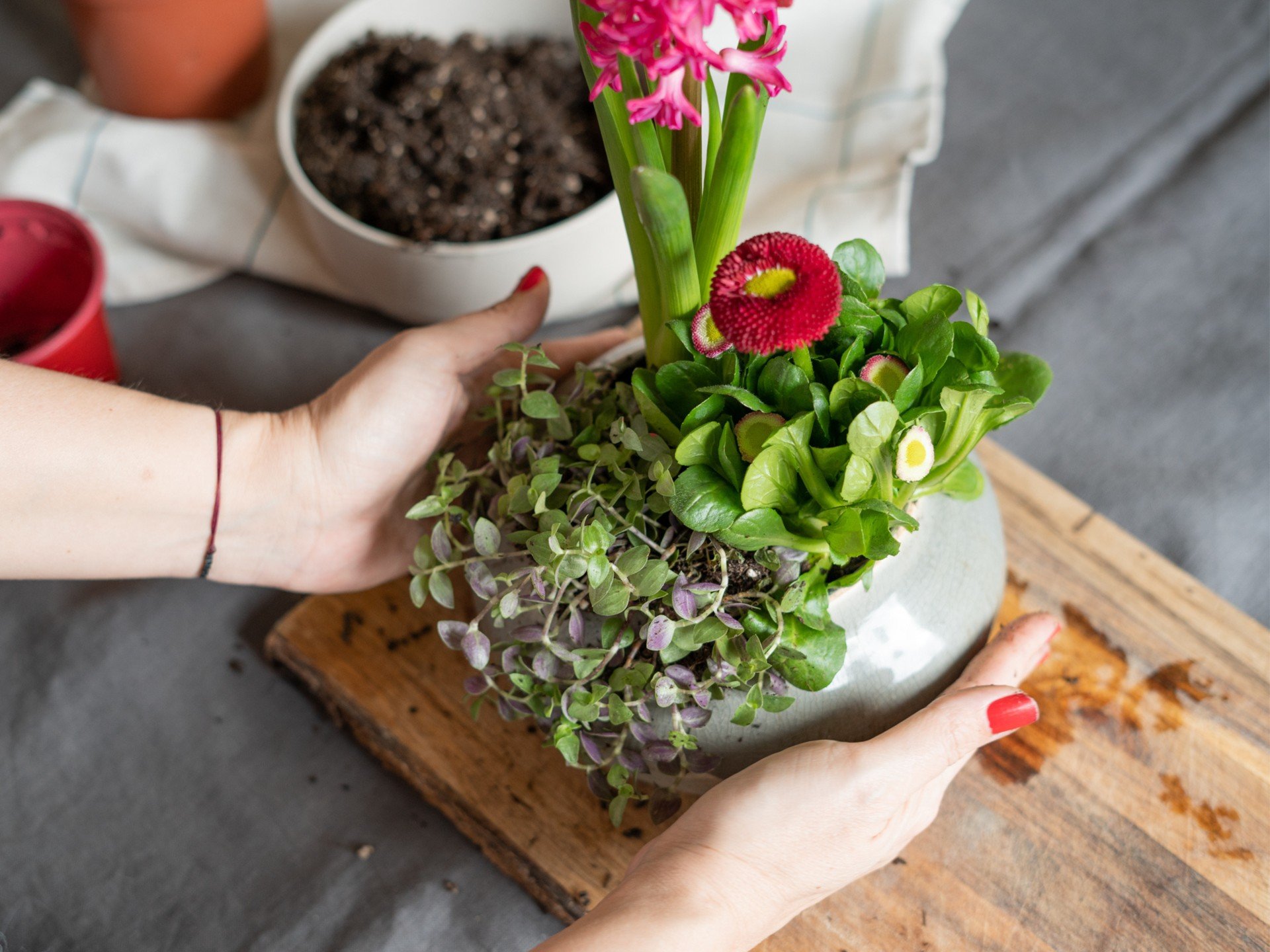 Jarní dekorace z cibulovin a kvetoucích rostlin