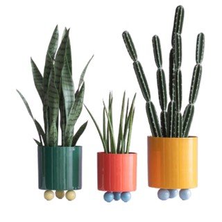 Květiny a květináče