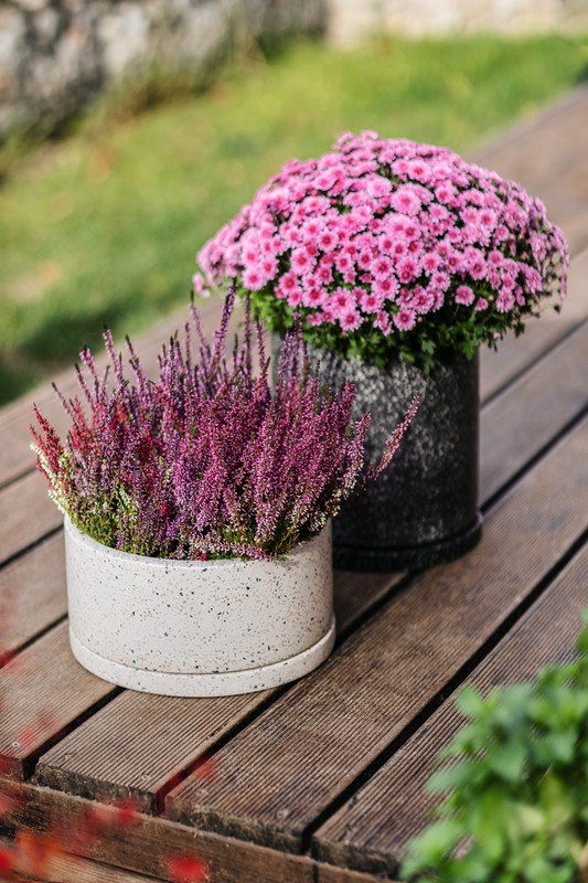 Inspirace: Zahrada, Balkon a terasa, Rustikální styl