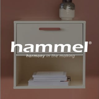 <b>Hammel Furniture</b>