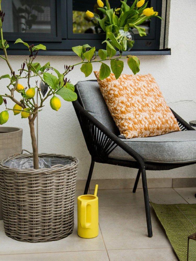 Inspirace: Balkon a terasa, Zahrada