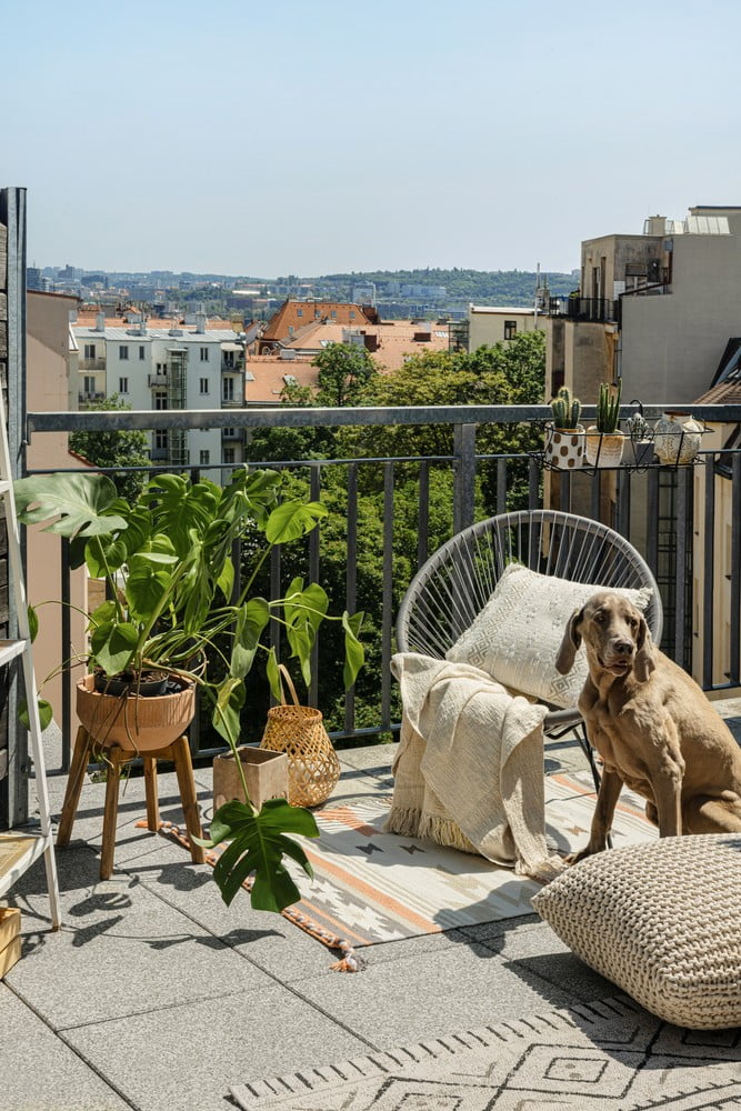 Inspirace: Boho styl, Zahrada, Balkon a terasa, Návštěvy