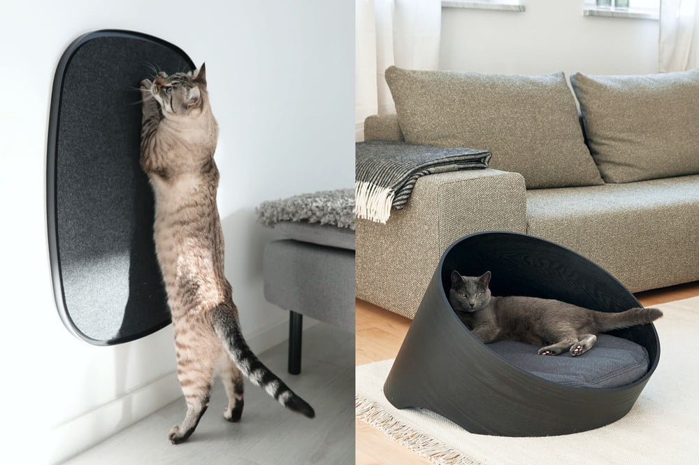 Inspirace: Domácí mazlíčci