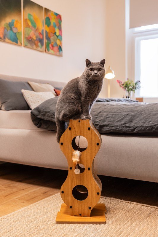 Inspirace: Návštěvy