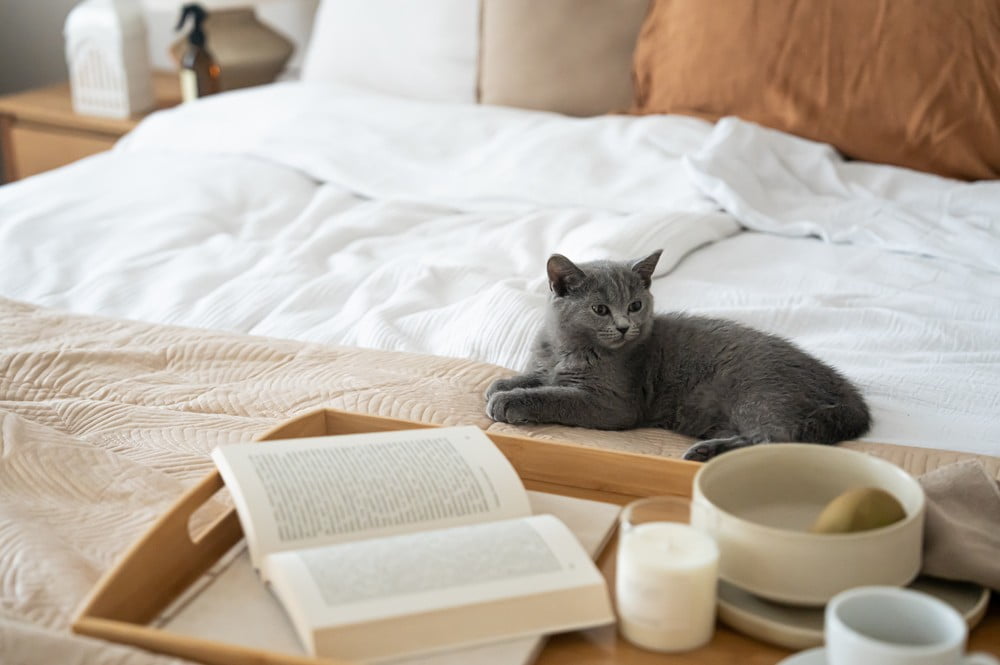 Inspirace: Ložnice, Klasický styl, Podzim, Textil