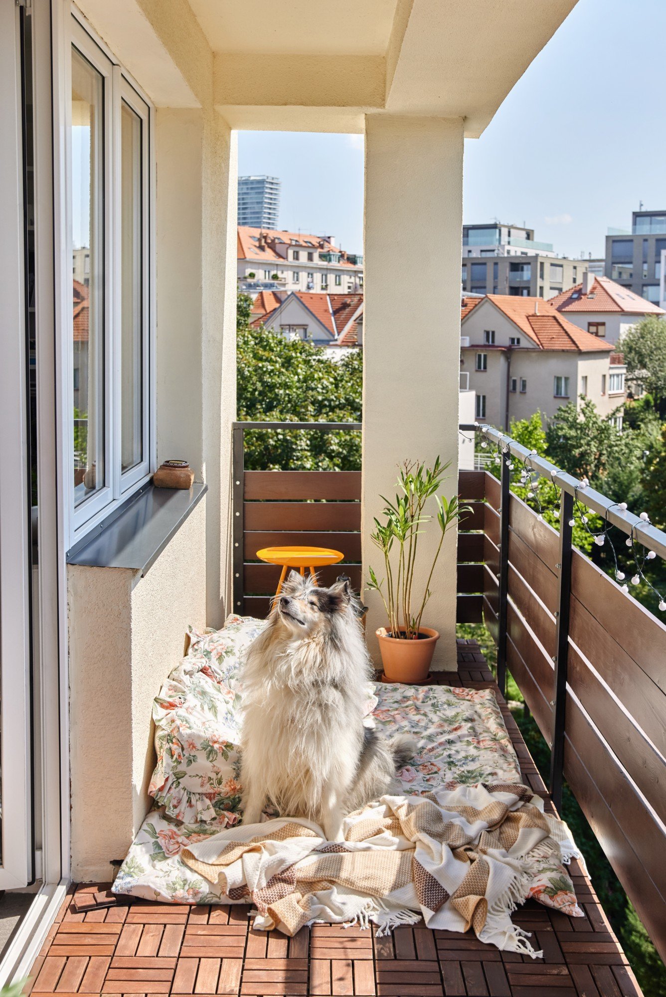 Relaxační kout, který bude fungovat i pro mazlíčka? Venkovní matrace, pár polštářů a měkká deka.