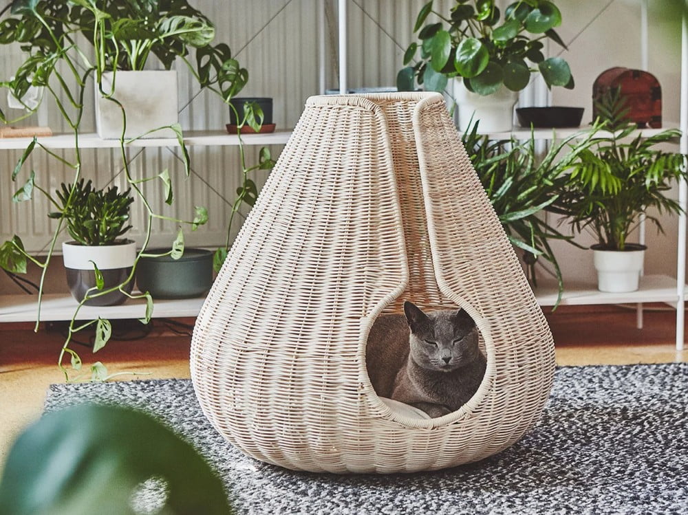 Inspirace: Domácí mazlíčci