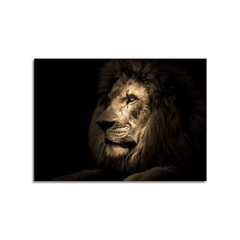 Tablou Styler Glas Animals Lion, 70 x 100 cm