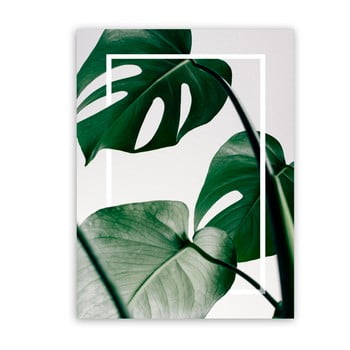 Tablou styler canvas greenery monstera, 60 x 80 cm