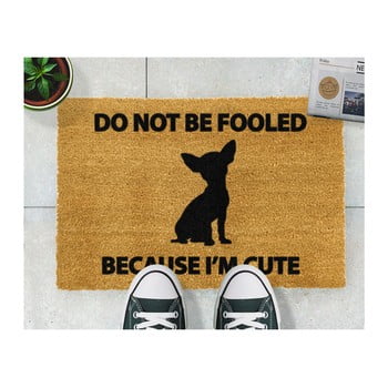 Covoraș intrare din fibre de cocos artsy doormats chihuahua, 40 x 60 cm
