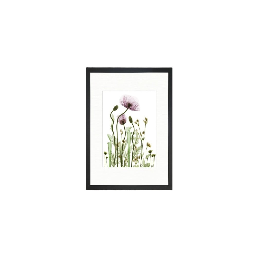 Obraz Tablo Center Wild Plants, 24 x 29 cm