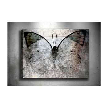Tablou tablo center fading butterfly, 70 x 50 cm