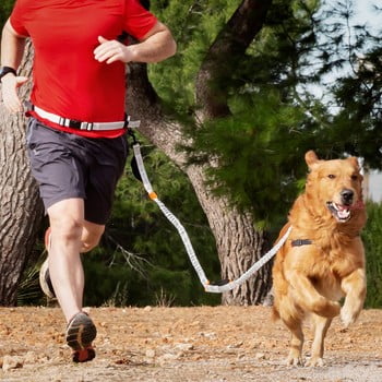 Lesă de alergat pentru câine InnovaGoods