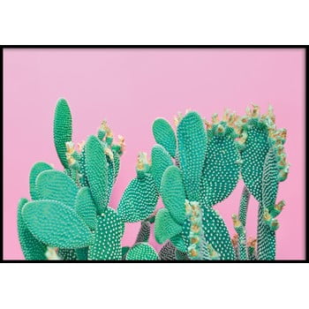 Poster cu ramă pentru perete cactus, 50 x 70 cm