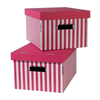 Set 2 cutii pentru depozitare compactor, roz