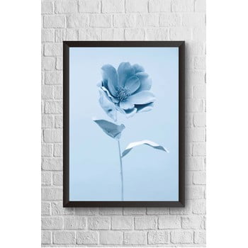 Tablou cu ramă Piacenza Art Blue Flower Alone, 30 x 20 cm