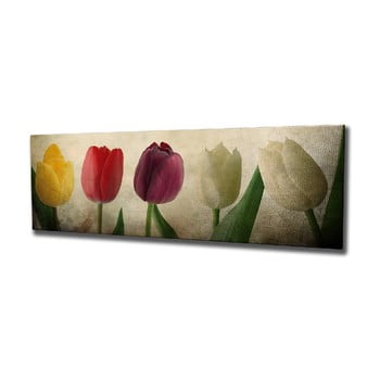 Tablou pe pânză tulip, 80 x 30 cm