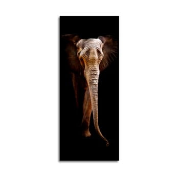 Tablou din sticlă styler elephant, 125 x 50 cm