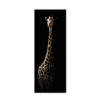 Tablou styler glas animals gira, 50 x 125 cm