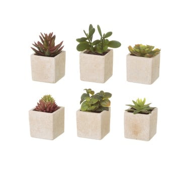 Set 6 flori artificiale unimasa cactus