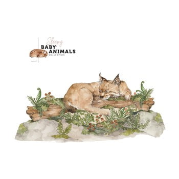 Autocolant de perete dekornik my little wild cat, 100 x 47 cm