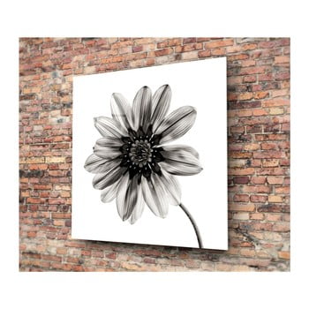 Tablou din sticlă insigne flower, 30 x 30 cm, negru - alb