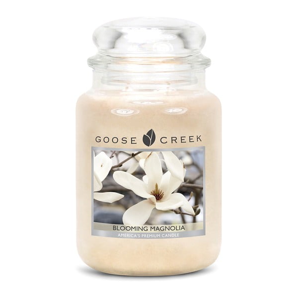 Vonná svíčka Goose Creek Kvetoucí Magnolie, 150 hodin hoření
