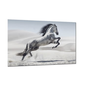 Tablou styler glasspik animals horse, 80 x 120 cm