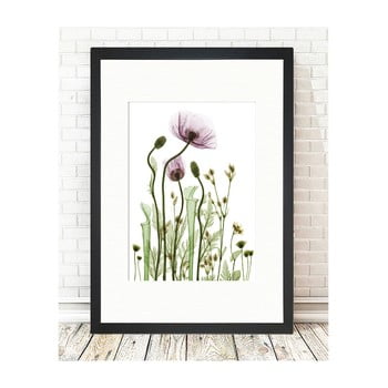 Tablou tablo center wild plants, 24 x 29 cm