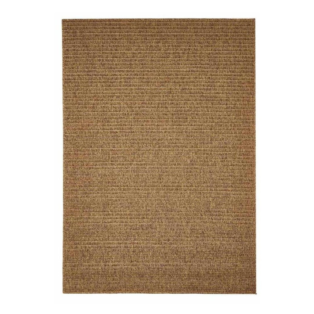 Hnědý venkovní koberec Floorita Plain, 200 x 285 cm