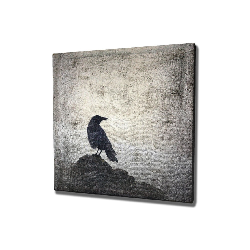 Nástěnný obraz na plátně Black Bird, 45 x 45 cm