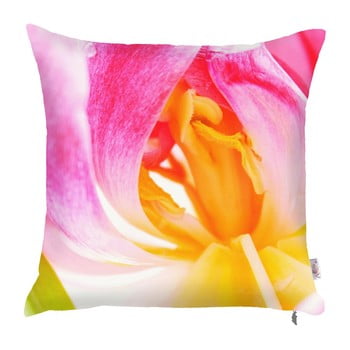 Faţă de pernă apolena pistil, 43 x 43 cm