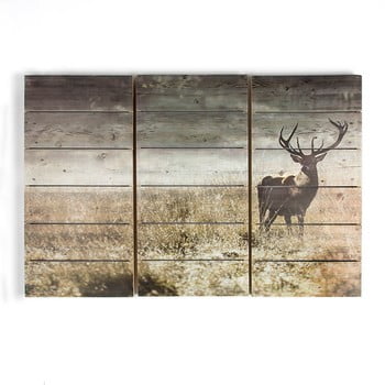 Tablou set din lemn graham & brown highland stag,