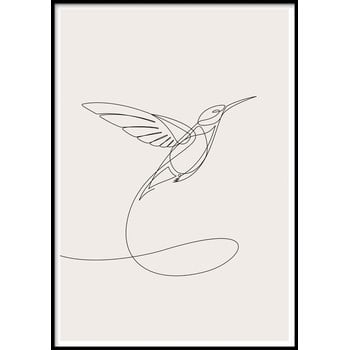 Poster cu ramă pentru perete sketchline/hummingbird, 40 x 50 cm