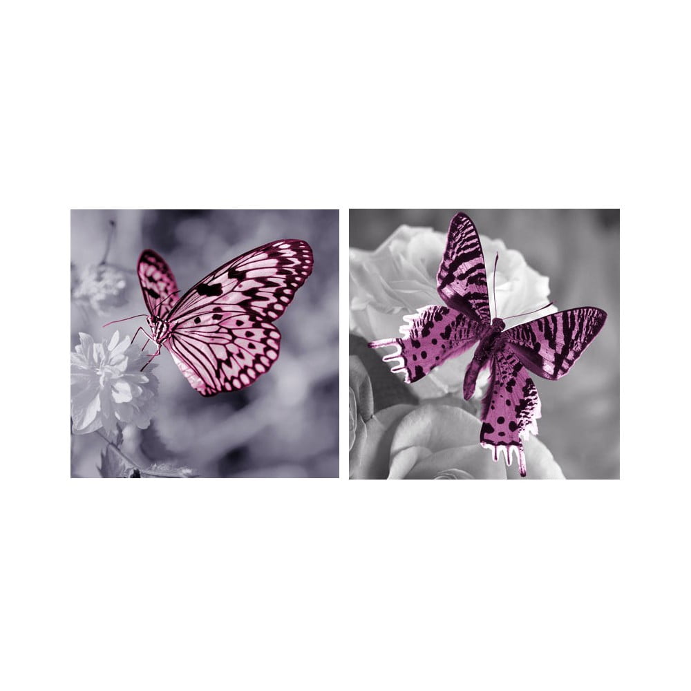 Set obrazů na skle Motýli, 20x20 cm, 2 ks
