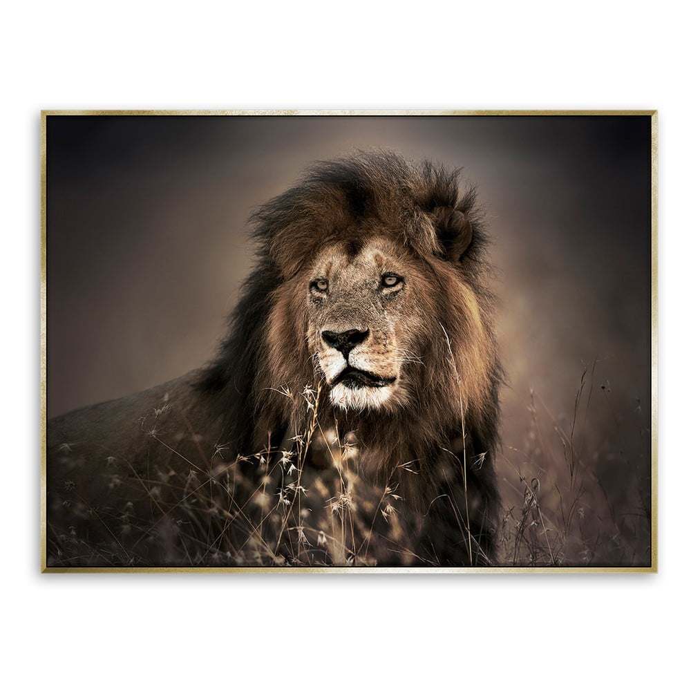 Obraz na plátně Styler Golden Lion, 115 x 87 cm