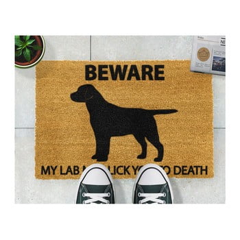 Covoraș intrare din fibre de cocos artsy doormats labrador, 40 x 60 cm