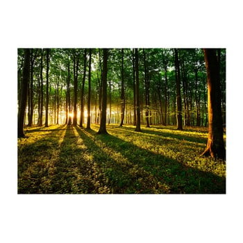 Tapet format mare bimago morning, 350 x 245 cm