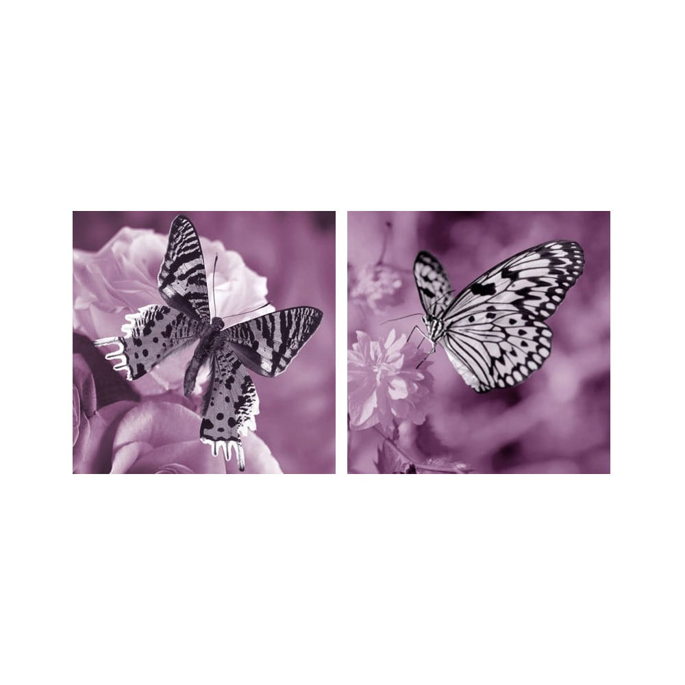 Set obrazů na skle Motýli, 30x30 cm, 2 ks