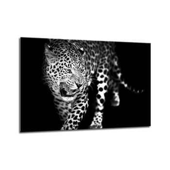 Tablou Styler Canvas Animals Leopard, 70 x 100 cm
